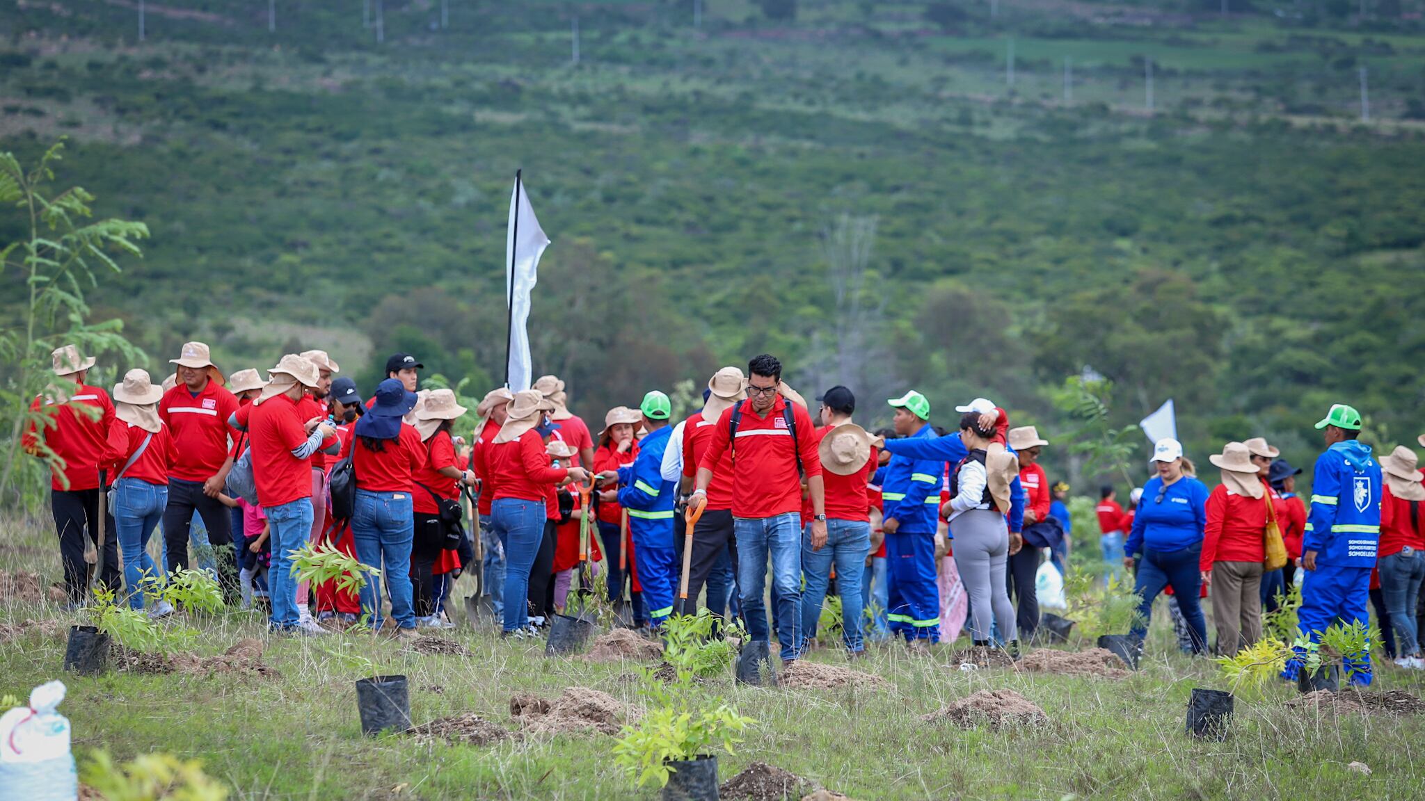 Voluntarios, familias y empresas participaron en la plantación de más de 3 mil árboles en la Sierra de Lobos, como parte de la campaña “Planta un Árbol, Dale Vida a León”.