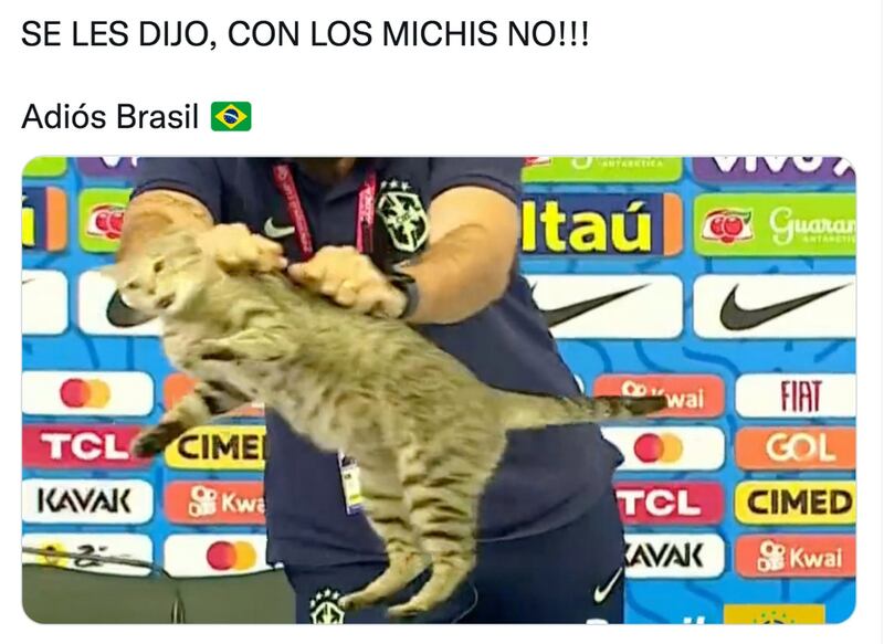 Los memes no perdonaron la derrota de Brasil