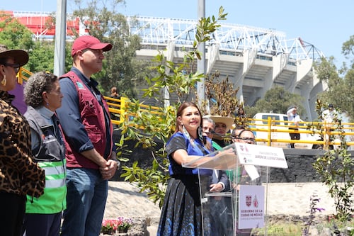 Jardín de Agua en el Estadio Azteca: el proyecto para captar lluvia y abastecer rumbo al Mundial 2026