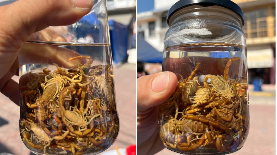 Dolor intenso, sudoración, náuseas, dificultad para respirar o alteraciones del ritmo cardíaco son señales de alarma.