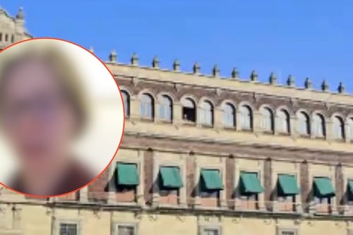 Filtran el salario que ganaría la mujer señalada por asolearse en la ventana de Palacio Nacional
