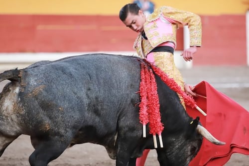 “¡Viva España y México!”: Bruno Aloi conquista Madrid con emotivo brindis al Rey Felipe VI