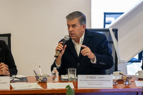 ¿Morena preocupado por la relación con EE. UU.? Esto respondió Ricardo Sheffield