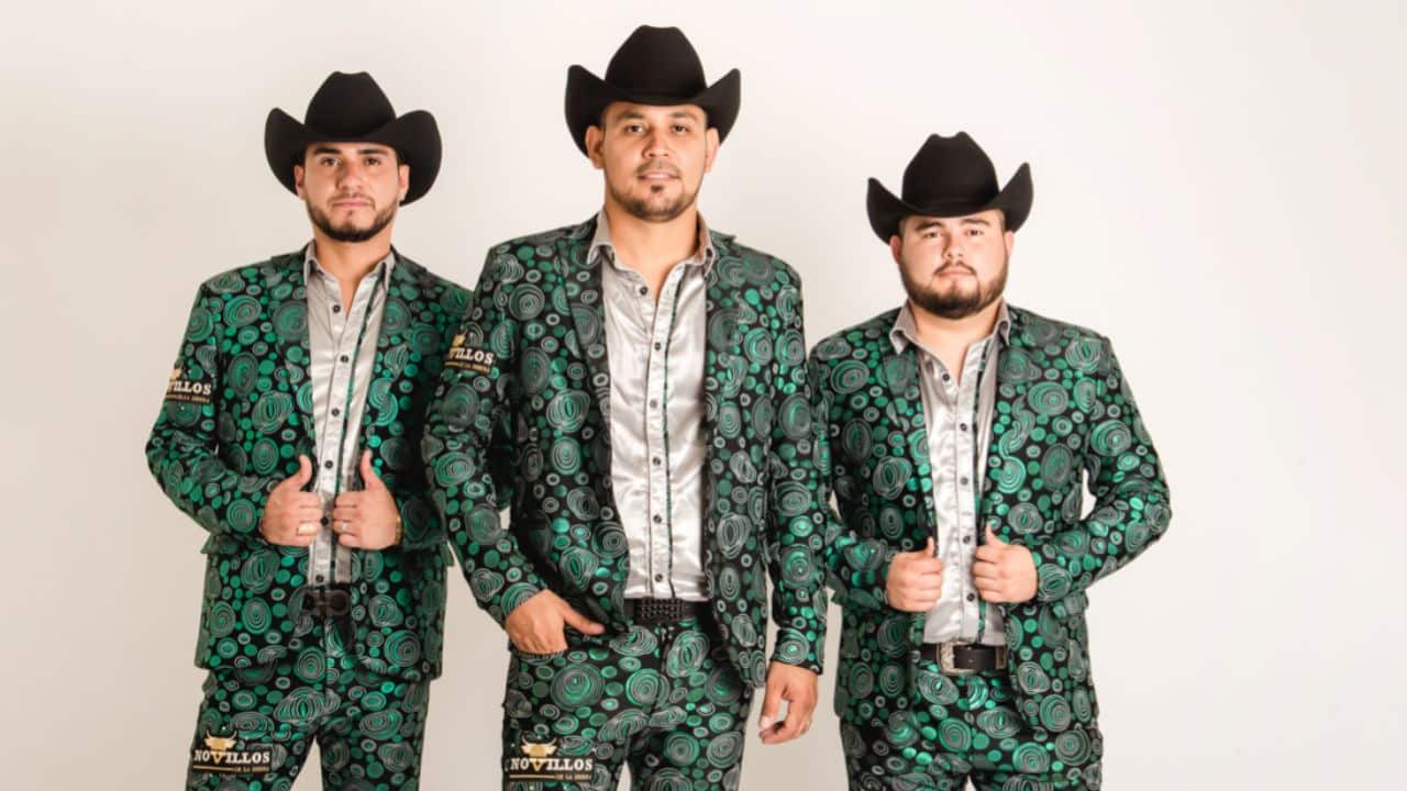 Novillos De La Sierra