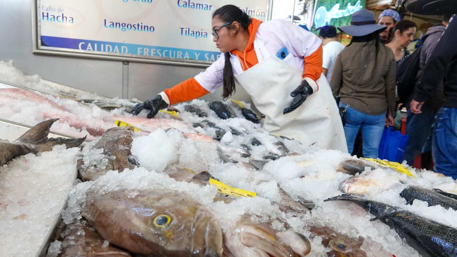 Se debe tomar precauciones cuando se compran pescados y mariscos.