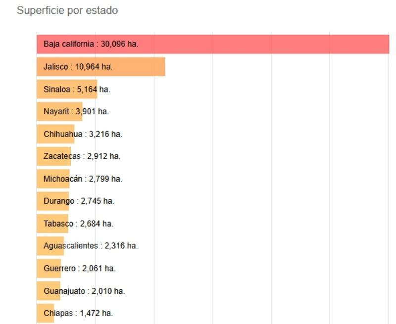 Baja California y Jalisco con los estados con más afectaciones en hectáreas por incendios forestales en lo que va de 2025. GOBIERNO DE MÉXICO/ monitor_incendios.cnf.gob.mx