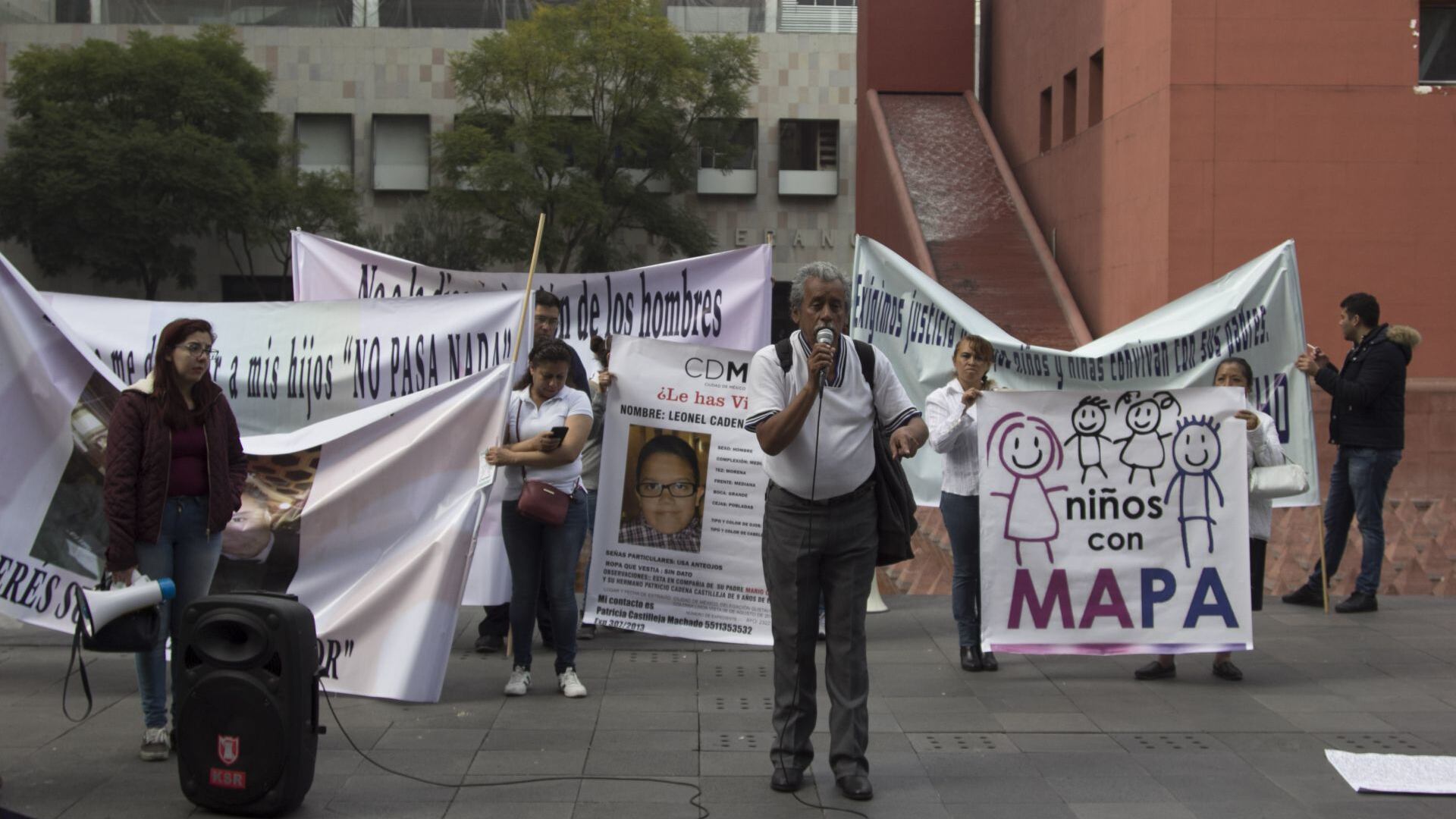 Alienación parental