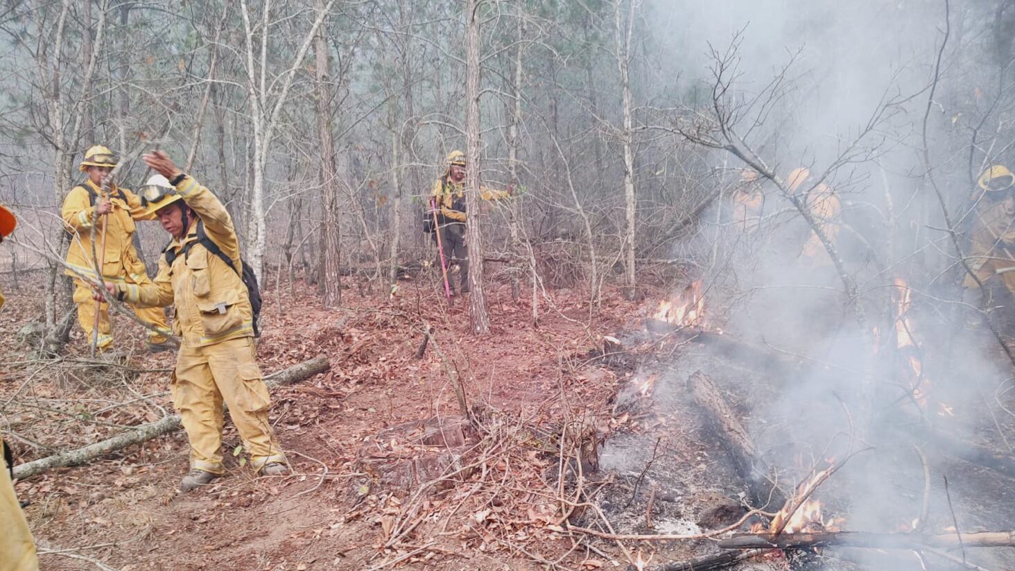 Se ha logrado controlar el 45% del siniestro.
