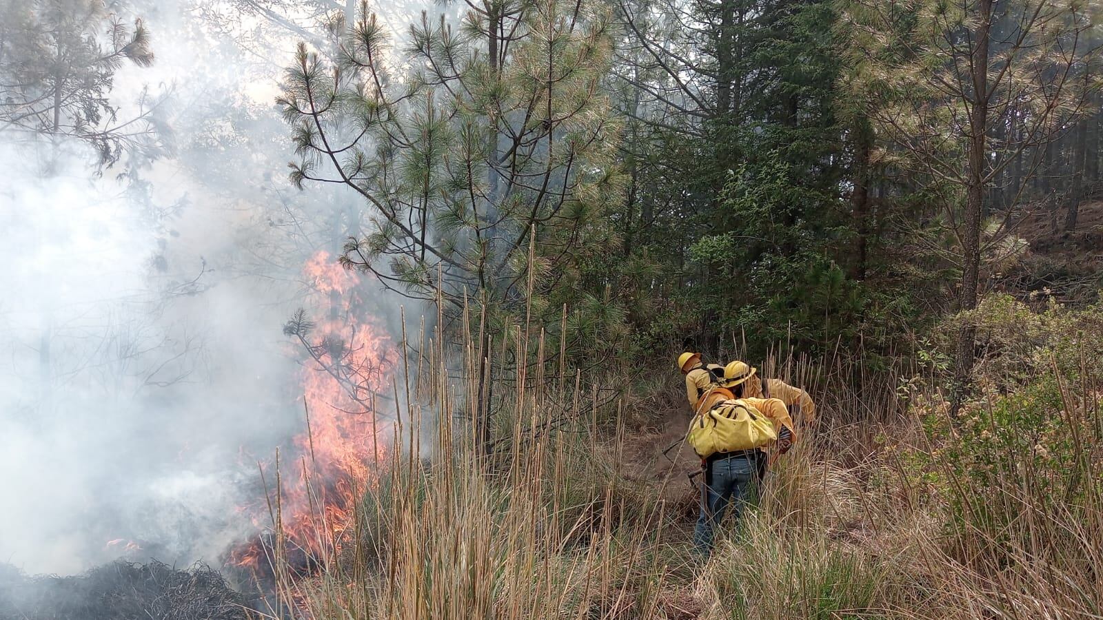 Foto: Cortesía Gobierno