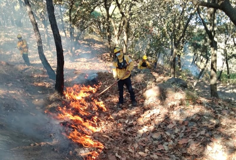 Las brigadas jugaron un papel importante para combatir la propagación de los incendios en las diferentes regiones del estado. ESPECIAL/ GOBIERNO DE MÉXICO