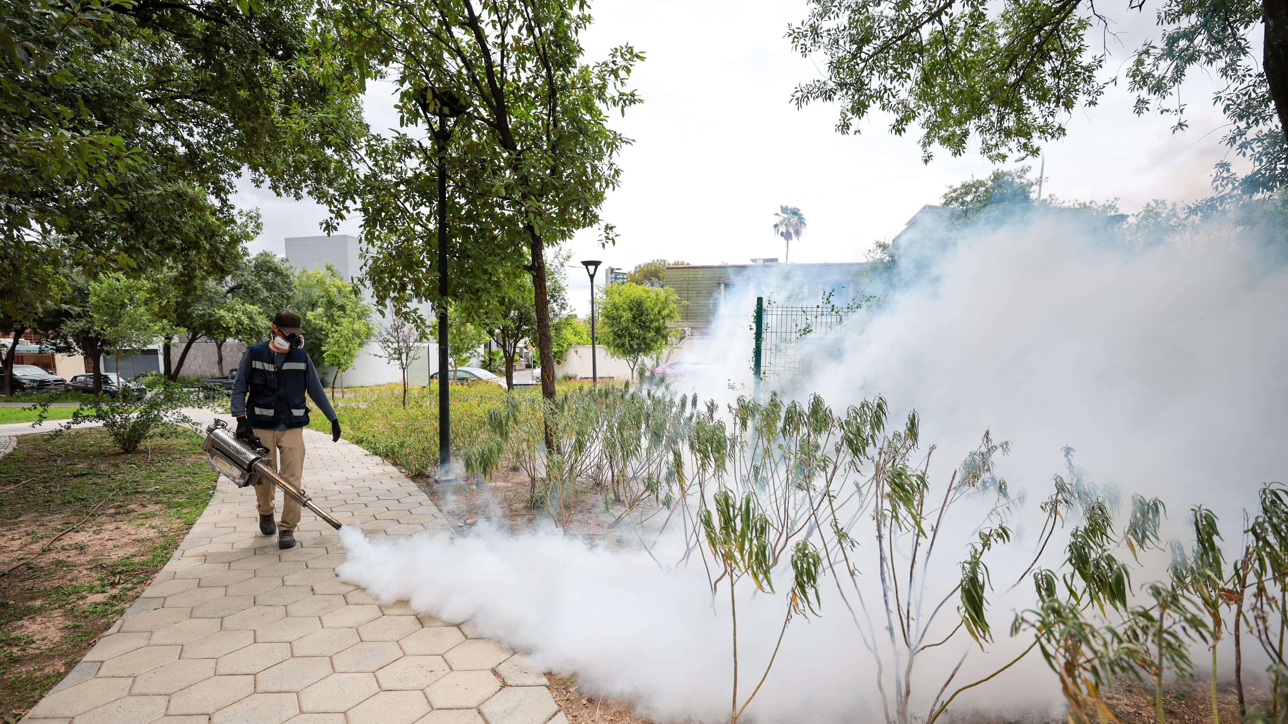 Además de combatir el dengue se previenen otras enfermedades como el zika.