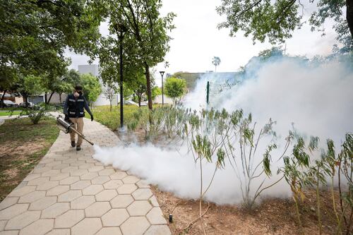 San Pedro va duro contra el dengue, fumigan todas las áreas verdes y 250 parques