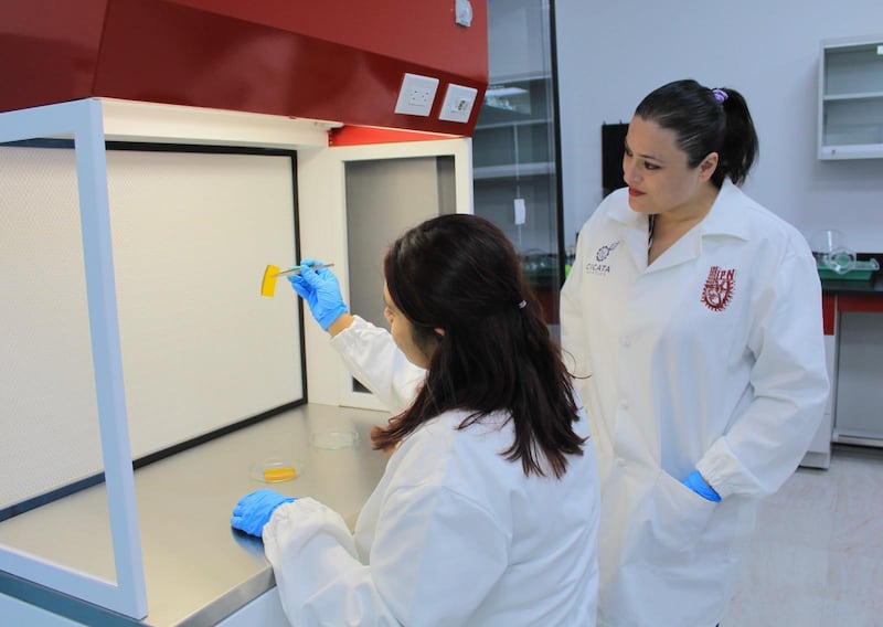 Simplifica SEP el trámite de cédulas profesionales; cédulas físicas mantienen su vigencia