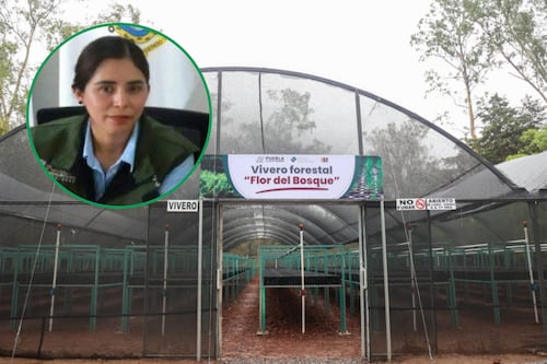 Armenta nombra a Mayra Lizeth Orellana como nueva secretaria de Medio Ambiente