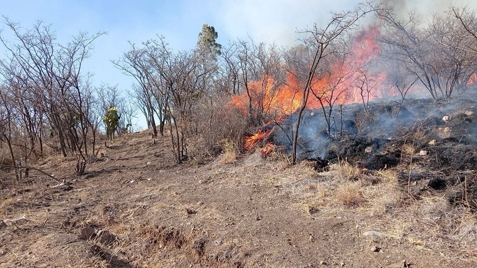 Incendios forestales en México