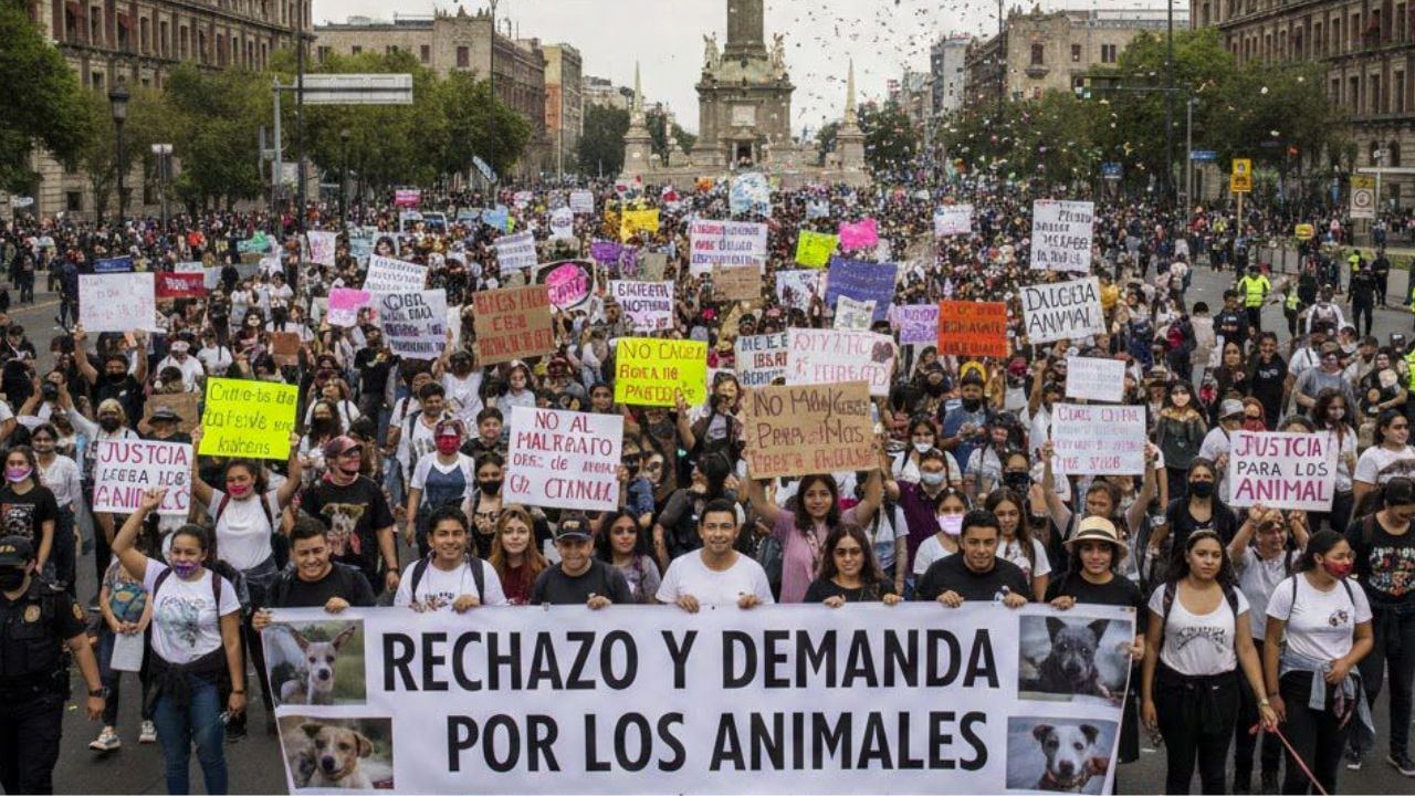 Marchas hoy domingo 15 de febrero