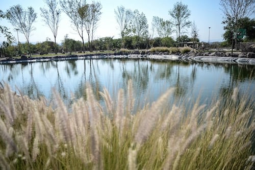 Alistan festival por el Día Mundial del Agua