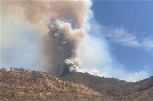 Por incendio forestal en la Costa, suspenden clases en Mascota y mantiene en alerta a Talpa
