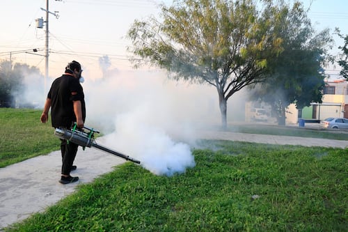 Guadalupe se concentra en zonas prioritarias para combatir el dengue