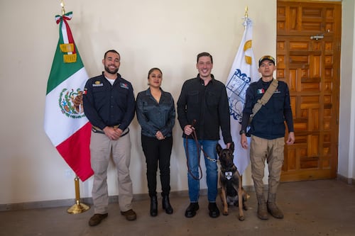 El Marqués líder en protección animal en el estado