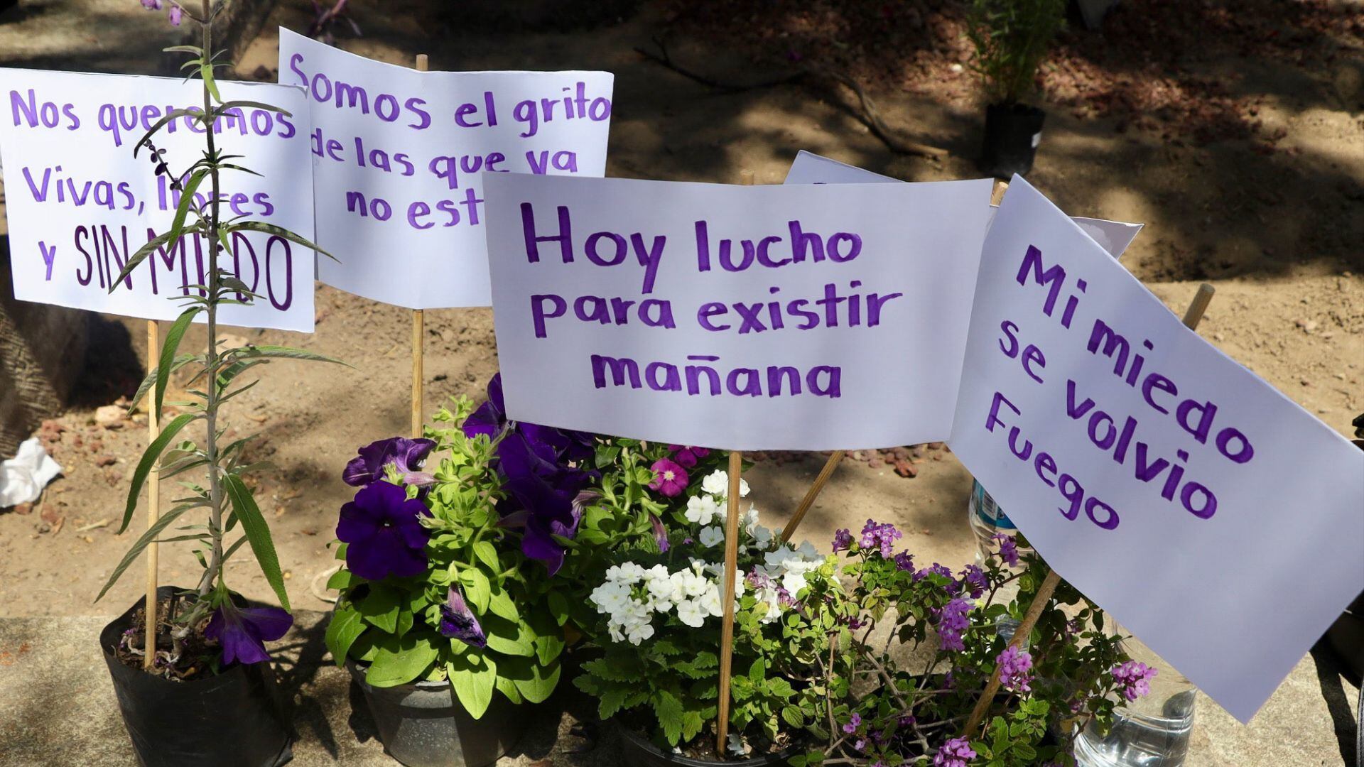 Feminicidios deben erradicarse desde la educación