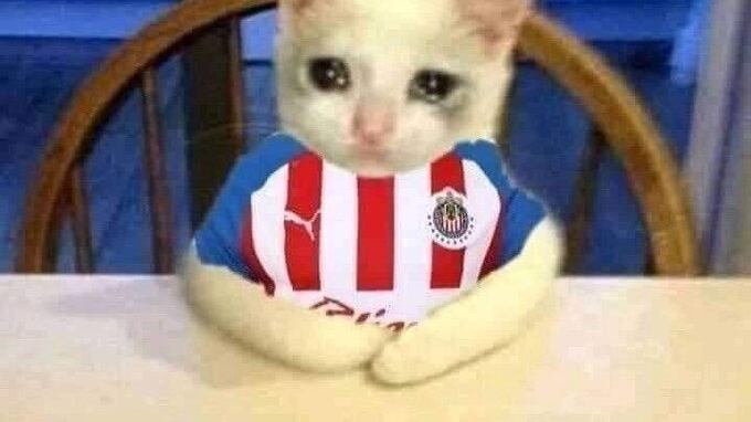 chivas