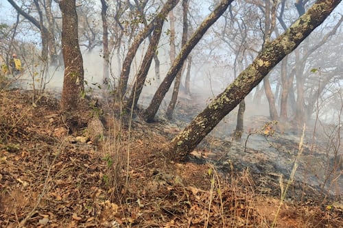 PC Municipal se prepara para la temporada de incendios forestales