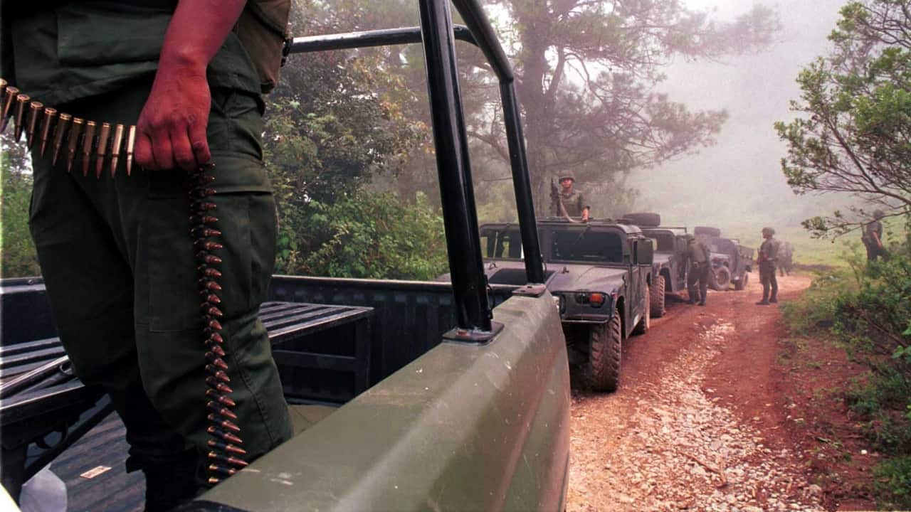 Sedena: ejército ‘suaviza’ golpes a plantíos del narcotráfico