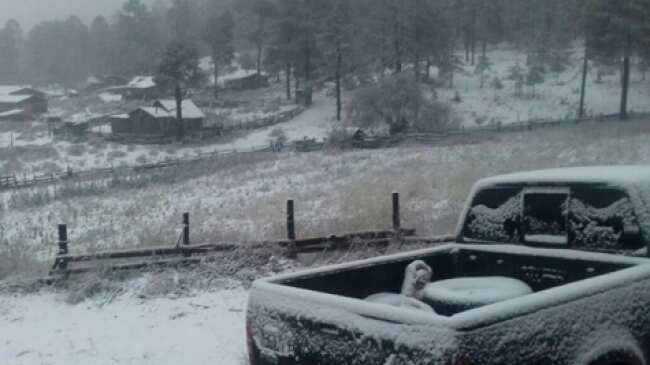 La nevada se produjo los días 2 y 4 de diciembre