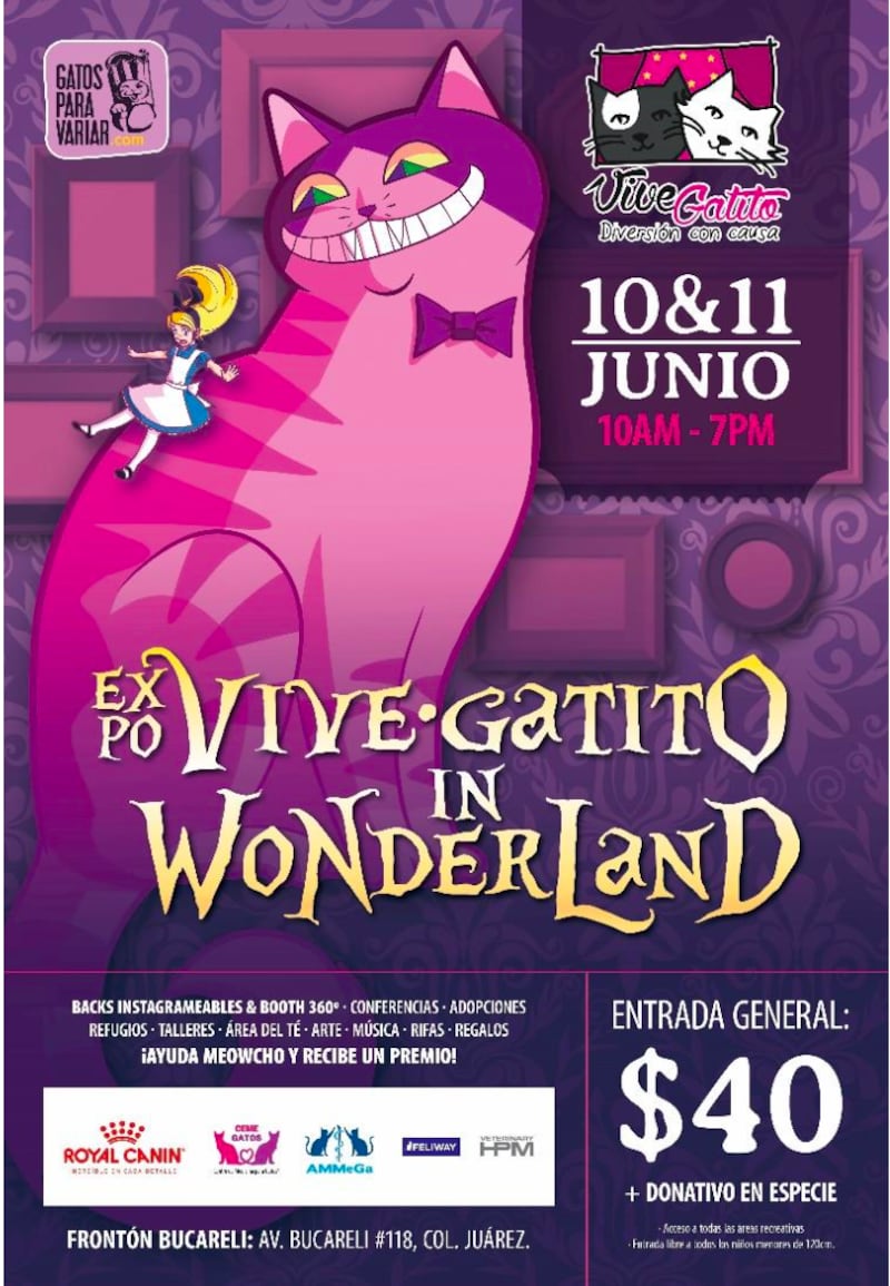 Expo Vive Gatito