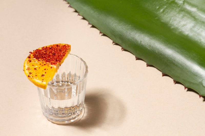 Te compartimos recetas fáciles y deliciosas para preparar con mezcal, ideales para disfrutar entre amigos, en la playa o en casa con mucho estilo