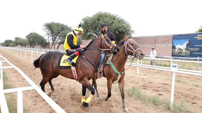 Carreras de caballos