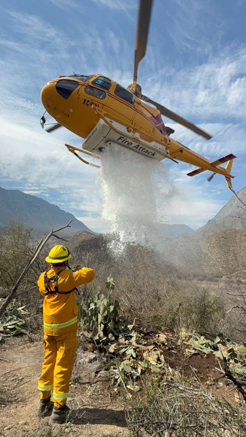 En lo que va del año se registran siete incendios forestales.
