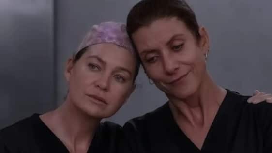 Todos los fanáticos de Grey's Anathomy están emocionados al ver a Addison y Meredith juntas de nuevo en un episodio que encantó.