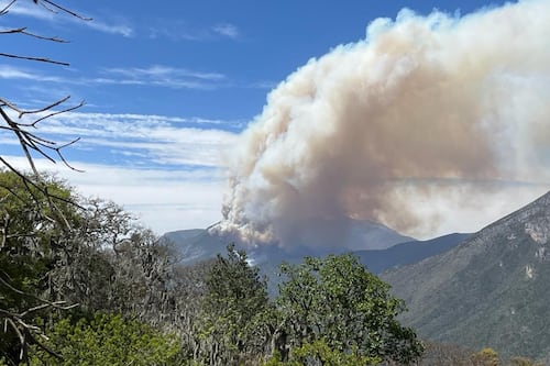 Reportan incendio de gran magnitud en el municipio de Zaragoza