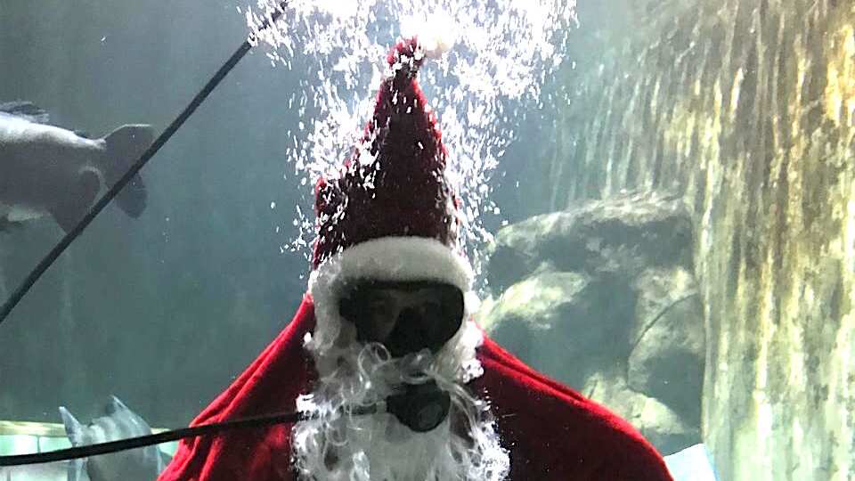 El parque hace actividades especiales para la Navidad y Año Nuevo.