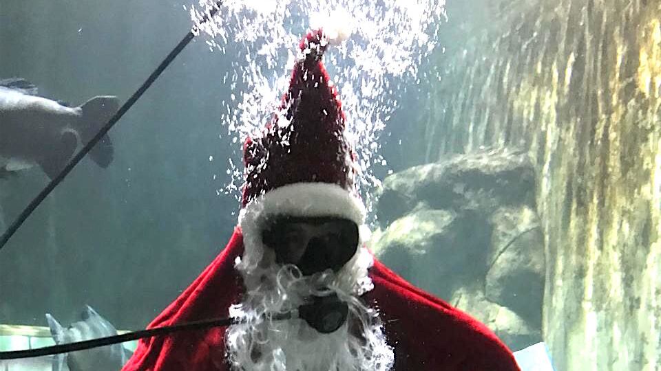 El parque hace actividades especiales para la Navidad y Año Nuevo.