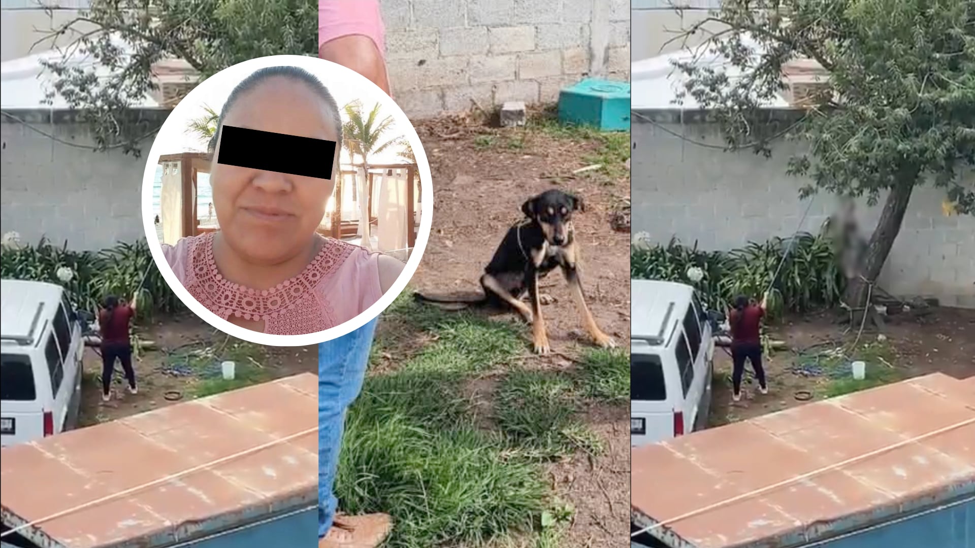 Mujer ahorca a un perrito hasta que fue sorprendida por un vecino que la grababa