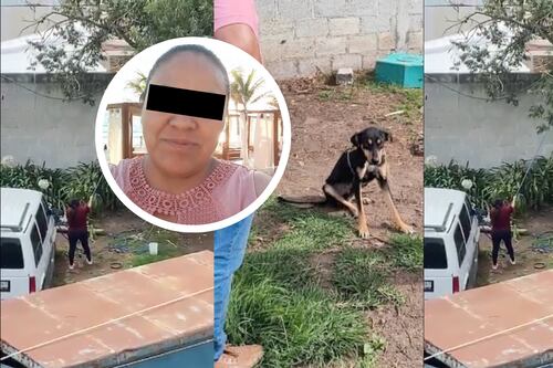 VIDEO: ¡Crueldad en Hidalgo! Mujer cuelga a un perrito de un árbol y recibe amenazas