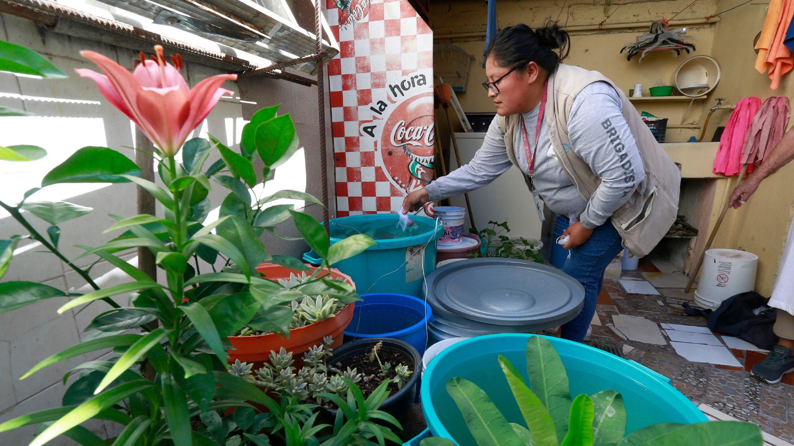 Acciones contra el dengue.