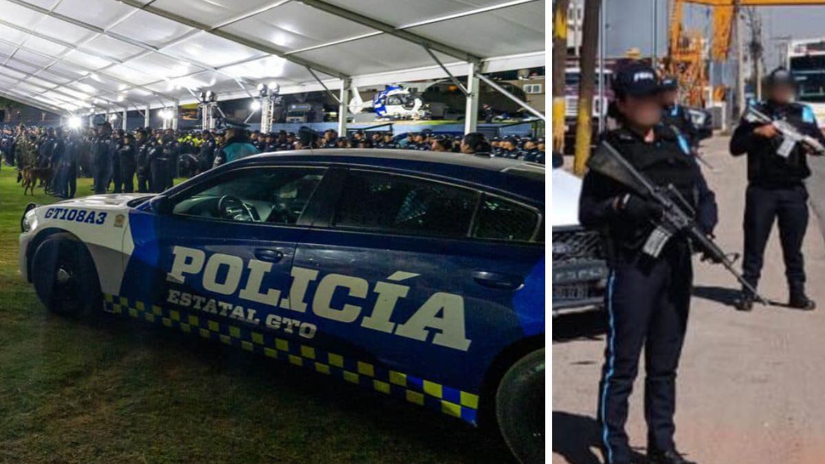 Quieren armas largas y automáticas para las FSPE.