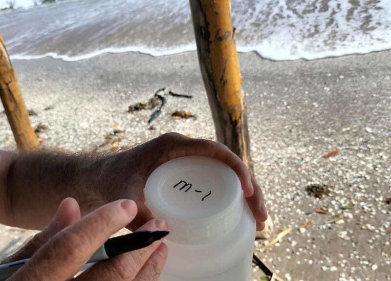 Previo a la Semana Santa, añadió, se colocaron cerca de 100 muestras de agua de mar.