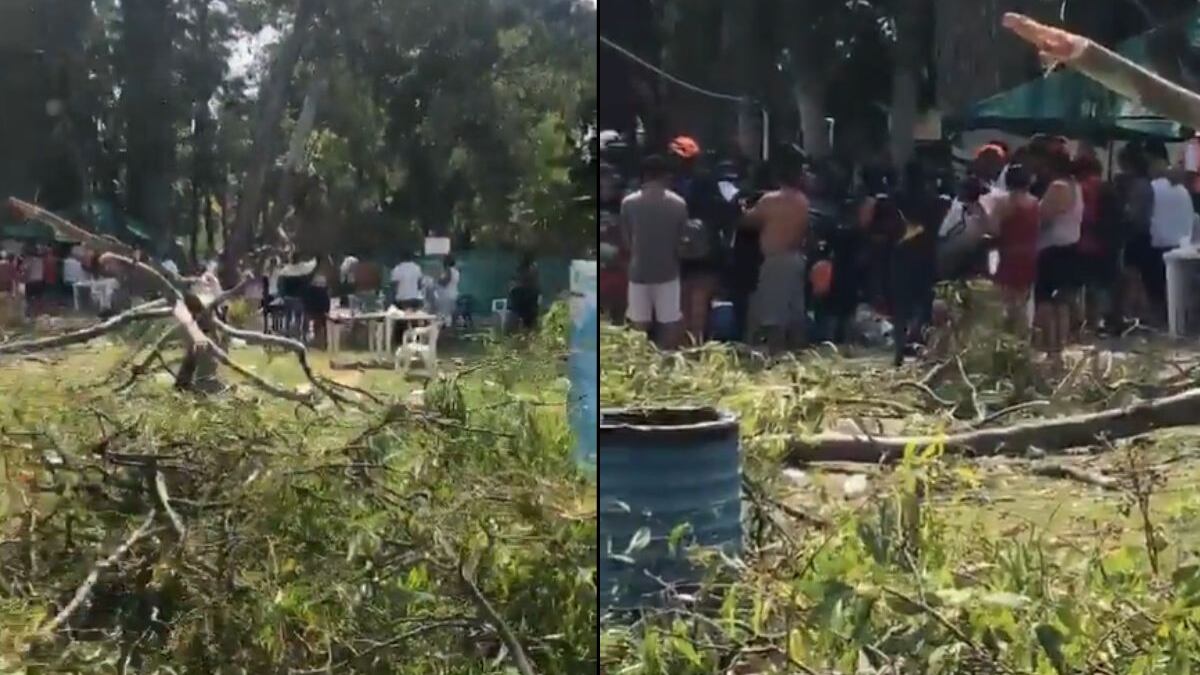 Muere bebé por caída de árbol en balneario.