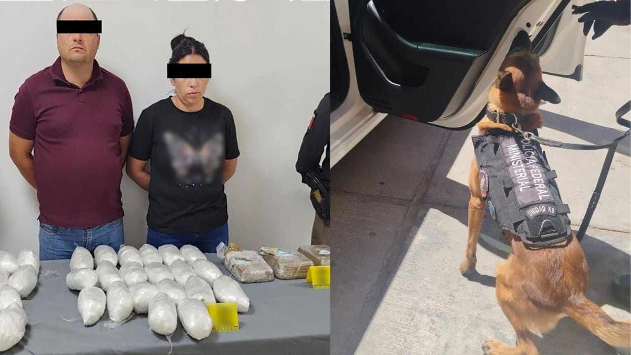 Aseguramiento de droga en Chihuahua