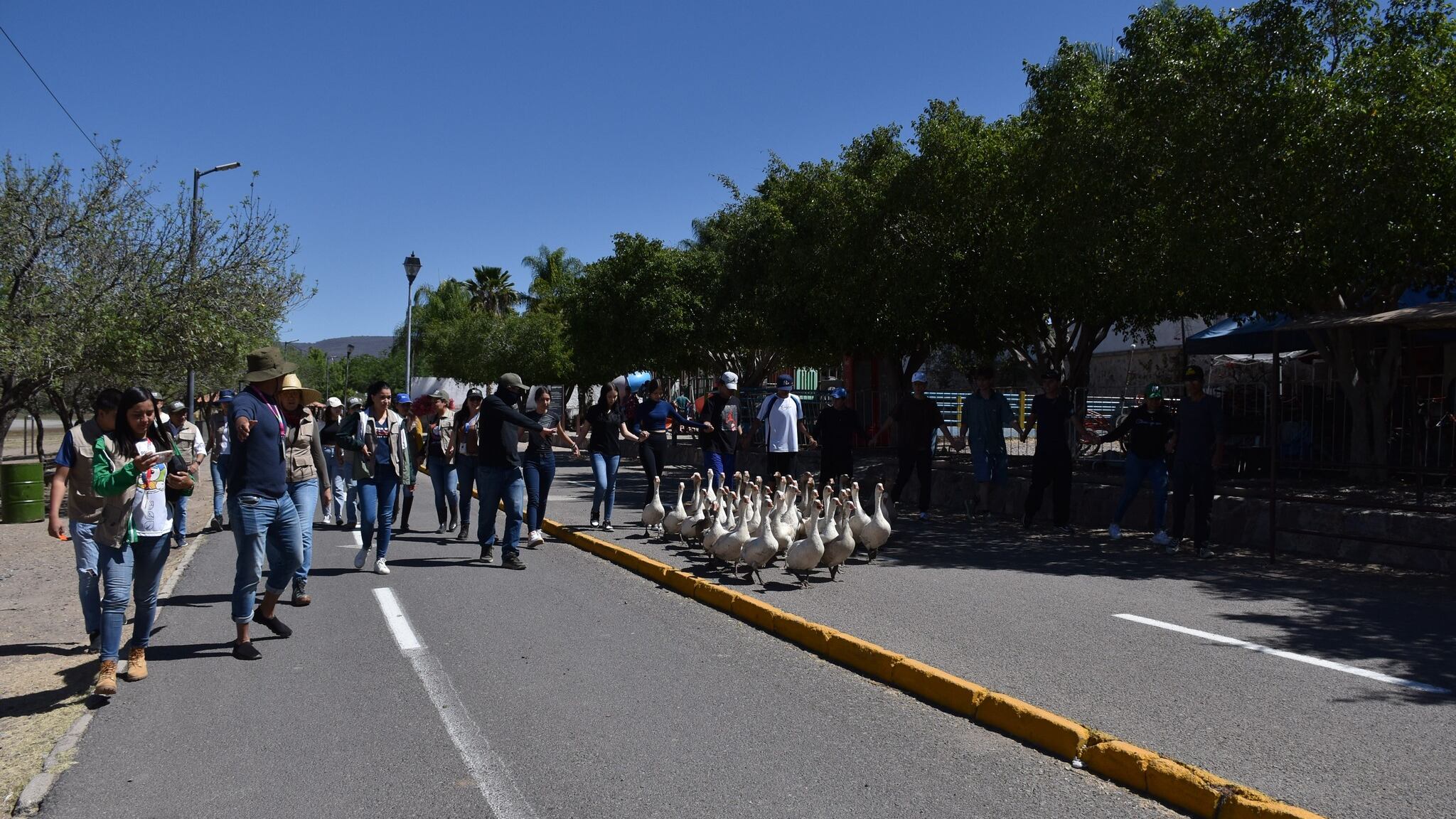 La sequía en la presa de El Palote, terminó con su ecosistema.