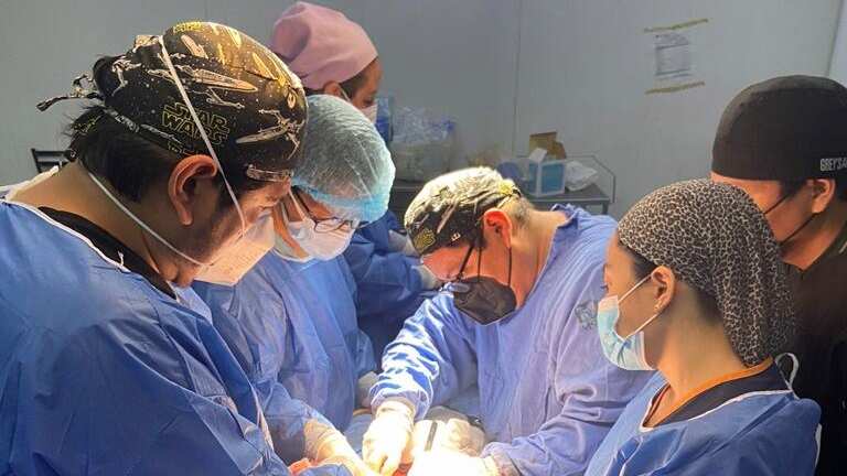 Dos mujeres trascienden y donan sus órganos a pacientes de Guanajuato y Ciudad de México.