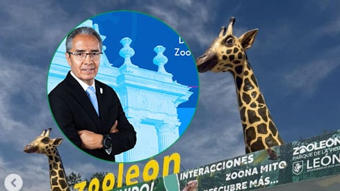 Sale el director del Zoo. Aun no hay reemplazo.