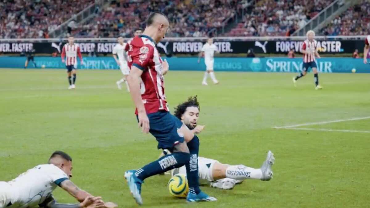 Piojo Alvarado-Chiino Huerta