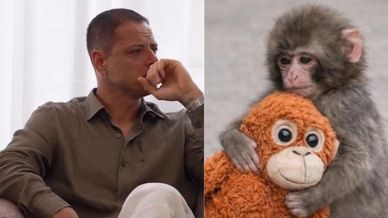 Chicharito Hernández y Mono Punch