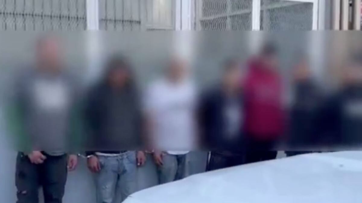 Caen Los Rayos, banda delictiva dedicada al robo de autos en Edomex